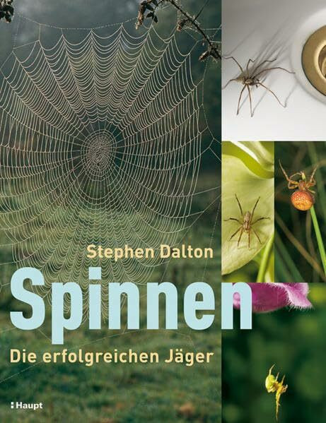 Spinnen: Die erfolgreichen Jäger