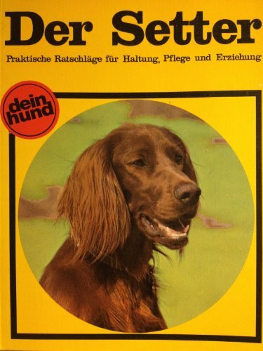 Der Setter : Pointer und Setter.