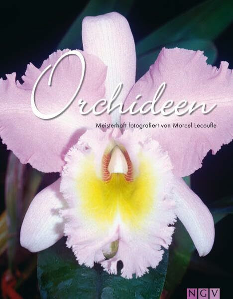 Orchideen: Meisterhaft fotografiert von Marcel Lecoufle