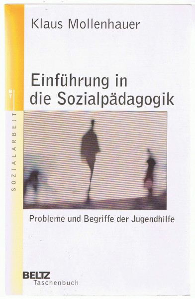 Einführung in die Sozialpädagogik: Probleme und Begriffe der Jugendhilfe (Beltz Taschenbuch / Soziale Arbeit)