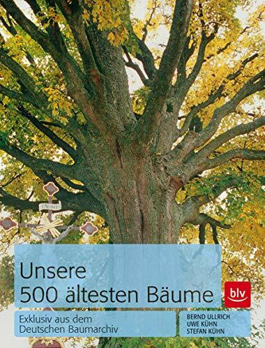 Unsere 500 ältesten Bäume: Exklusiv aus dem Deutschen Baumarchiv