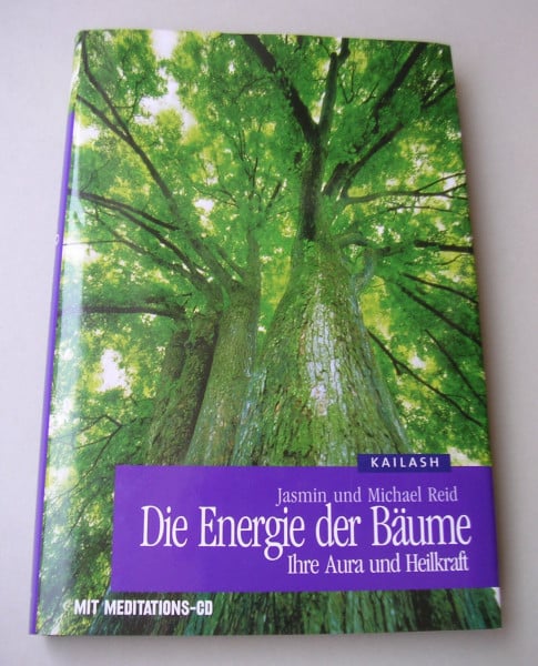 Die Energie der Bäume: Ihre Aura und Wirkung