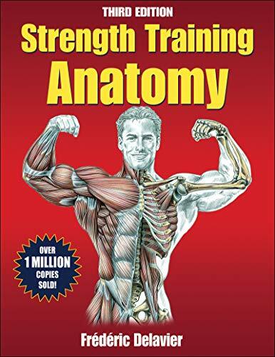 Strength Training Anatomy Strength Training Anatomy