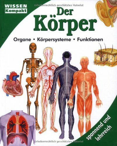 Der Körper: Organe, Körpersysteme, Funktionen