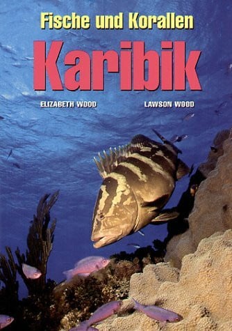 Reef Fish: Karibik