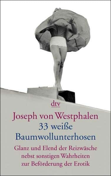 Dreiunddreißig weiße Baumwollunterhosen: Glanz und Elend der Reizwäsche nebst sonstigen Wahrheiten zur Beförderung der Erotik