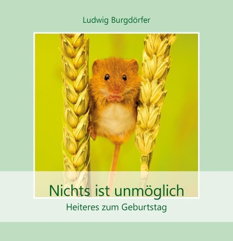 Nichts ist unmöglich