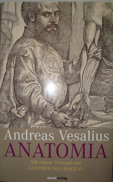 Anatomia