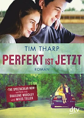 Perfekt ist jetzt: Roman
