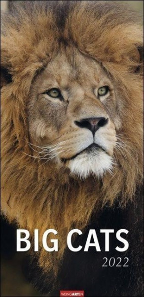 Big Cats Kalender 2022