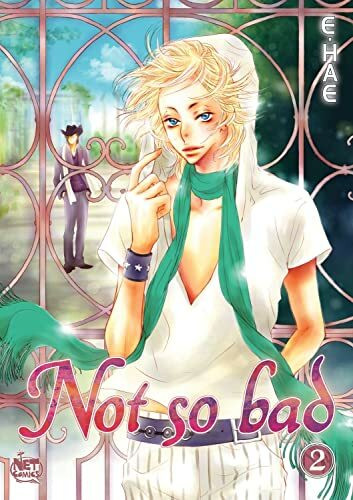 Not So Bad Volume 2 (NOT SO BAD GN)