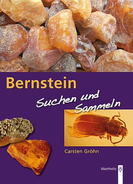 Bernstein: Suchen und sammeln