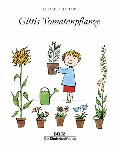 Gittis Tomatenpflanze