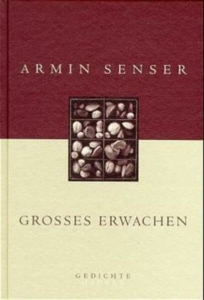 Großes Erwachen: Gedichte