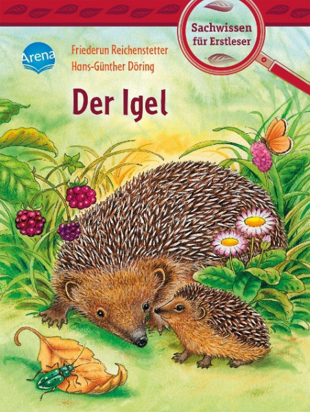 Der Igel