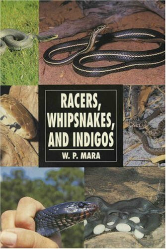 Racers, Whipsnakes and Indigos (Herpetology series)