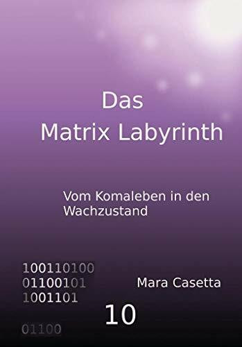 Das Matrix Labyrinth: Vom Komaleben in den Wachzustand
