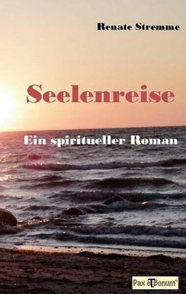 Seelenreise: Ein spiritueller Roman