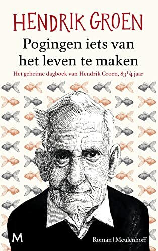 Pogingen iets van het leven te maken: roman