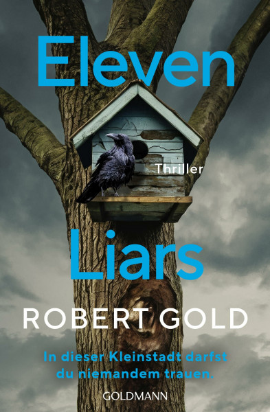 Eleven Liars: In dieser Kleinstadt darfst du niemandem trauen. - Thriller (Ben Harper, Band 2)