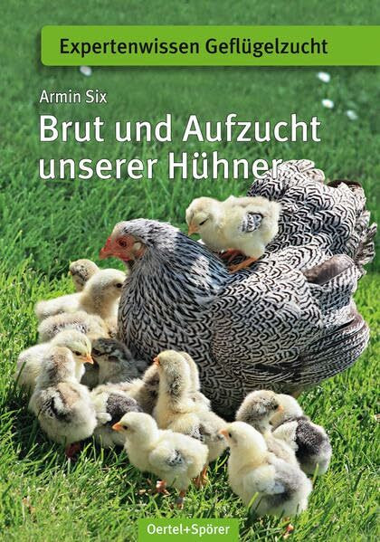 Brut und Aufzucht unserer Hühner (Expertenwissen Geflügelzucht)