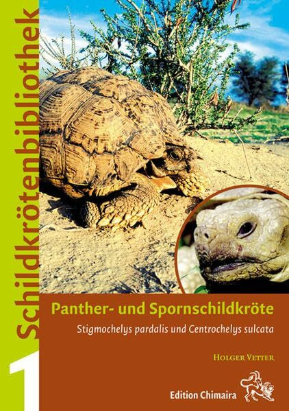 Panther- und Spornschildkröte (Stigmochelys pardalis und Centrochelys sulcata)