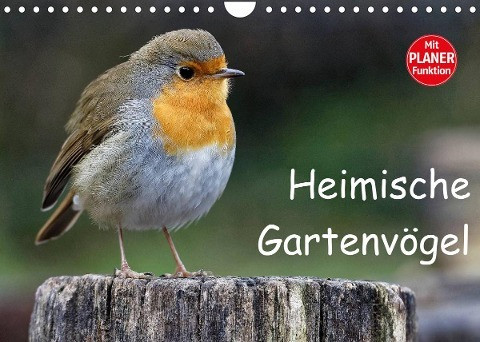 Heimische Gartenvögel (Wandkalender 2022 DIN A4 quer)