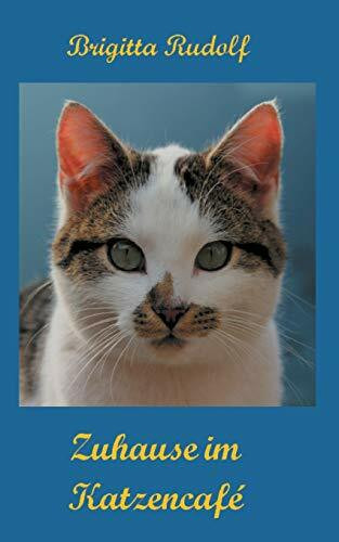 Zuhause im Katzencafé