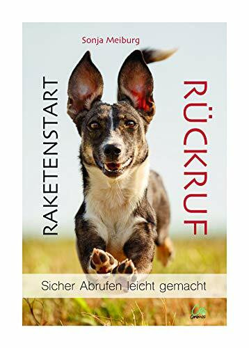 Raketenstart Rückruf: Sicher Abrufen leicht gemacht