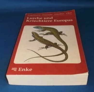 Lurche und Kriechtiere Europas