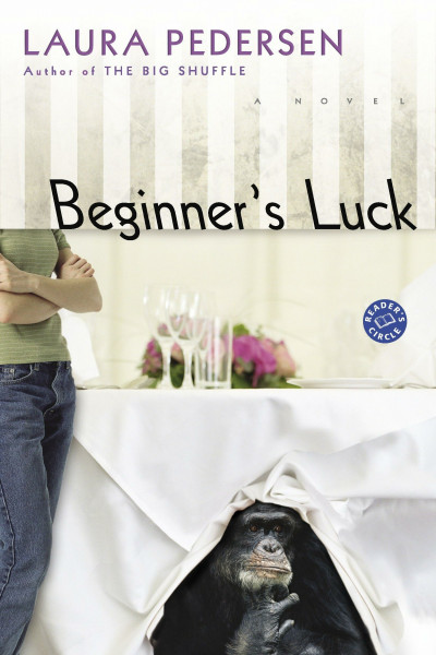 Beginner's Luck: A Novel (Hallie Palmer, Band 1)