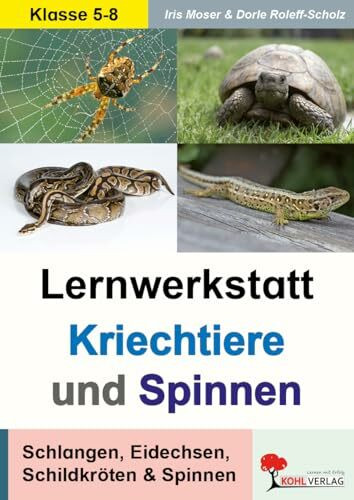 Kriechtiere Spinnen Reptilien Biologie Sekundarstufe Klasse 5 6 7 8 | Schlangen Eidechsen Schildkröten Lernwerkstatt Zoologie Stationenlernen | 40 ... Eidechsen, Schildkröten und Spinnen