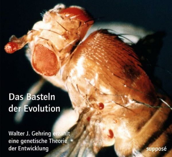 Das Basteln der Evolution: Walter J. Gehring erzählt eine genetische Theorie der Entwicklung