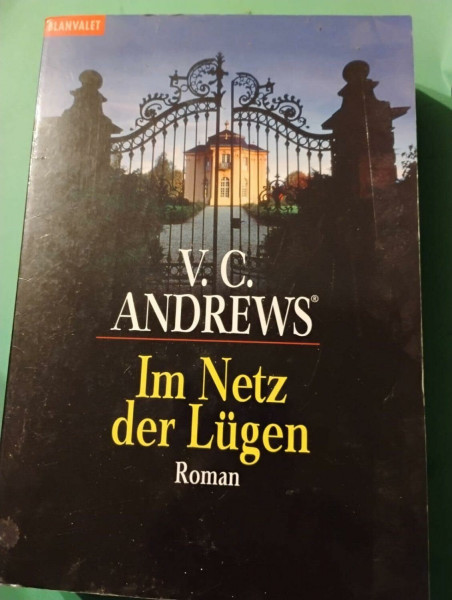 Im Netz der Lügen: Roman - Die Logan-Saga (Blanvalet Taschenbuch)