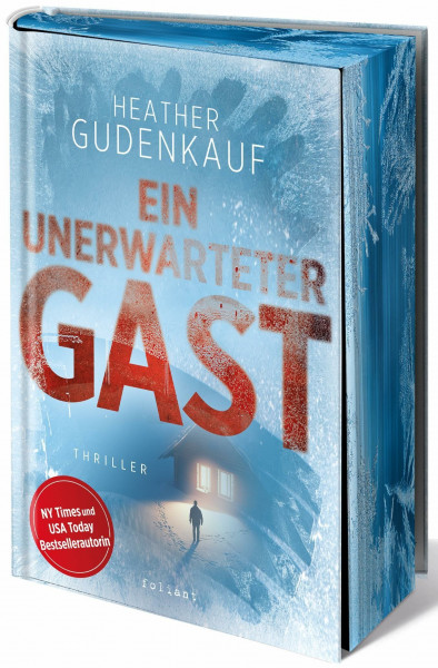 Ein unerwarteter Gast: Ein Schneesturm. Ein fremdes Kind. Ein tödliches Geheimnis.