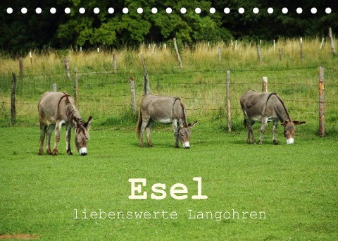 Esel - liebenswerte Langohren (Tischkalender 2023 DIN A5 quer)