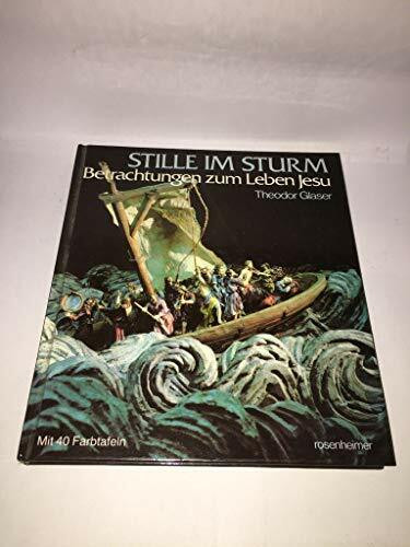 Stille im Sturm. Betrachtungen zum Leben Jesu