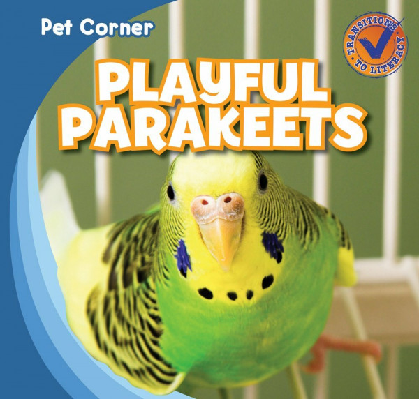Playful Parakeets (Pet Corner)