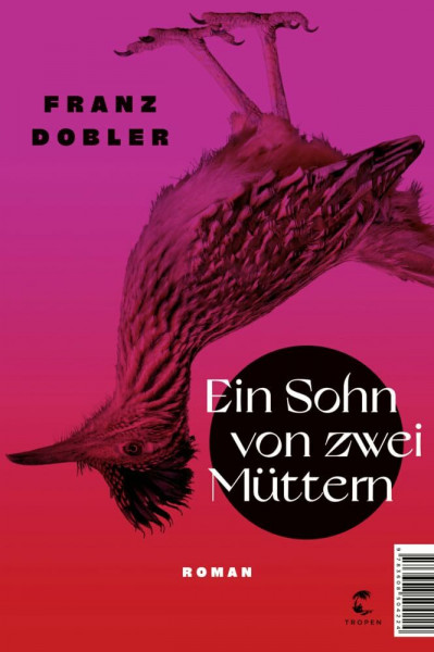 Ein Sohn von zwei Müttern: Roman