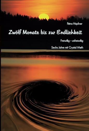 Zwölf Monate bis zur Endlichkeit: Freiwillig - unfreiwillig : Sechs Jahre mit Crystal Meth