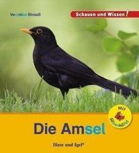 Die Amsel / Sonderausgabe mit Silbenhilfe