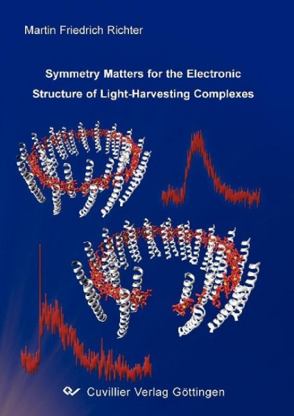 Symmetry Matters for the Electronic Structure of Light- Harvesting