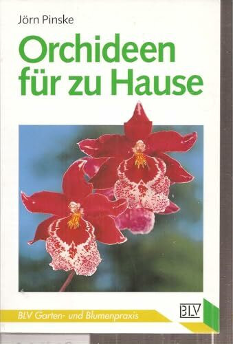 Orchideen für zu Hause.