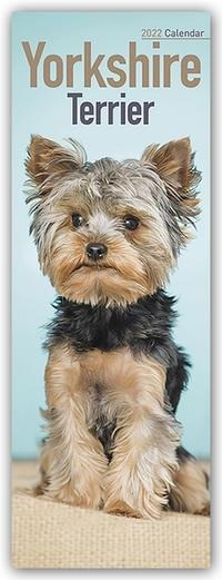 Yorkshire Terriers 2022 Slimline Calendar