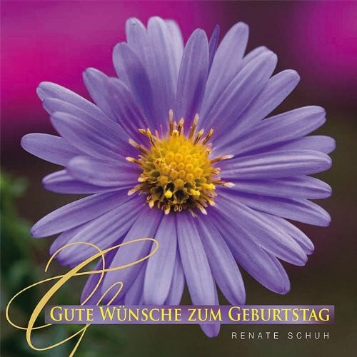 Gute Wünsche zum Geburtstag