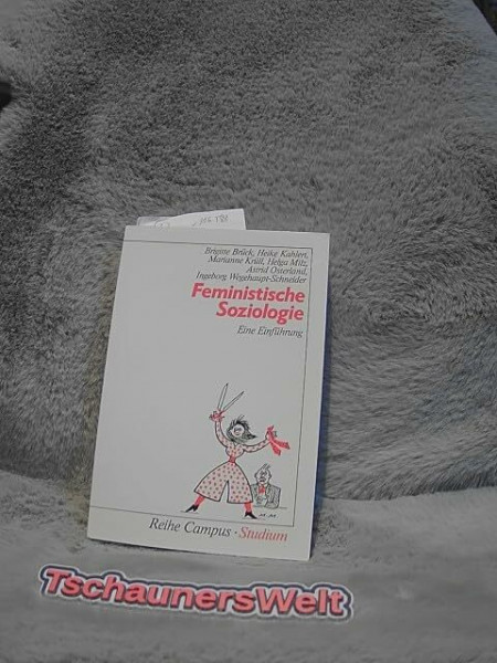 Feministische Soziologie: Eine Einführung (Reihe Campus)