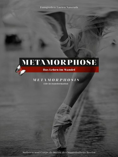 Metamorphose - Das Leben im Wandel