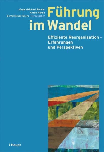 Führung im Wandel: Effiziente Reorganisation - Erfahrungen und Perspektiven