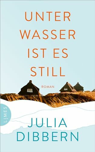 Unter Wasser ist es still: Roman