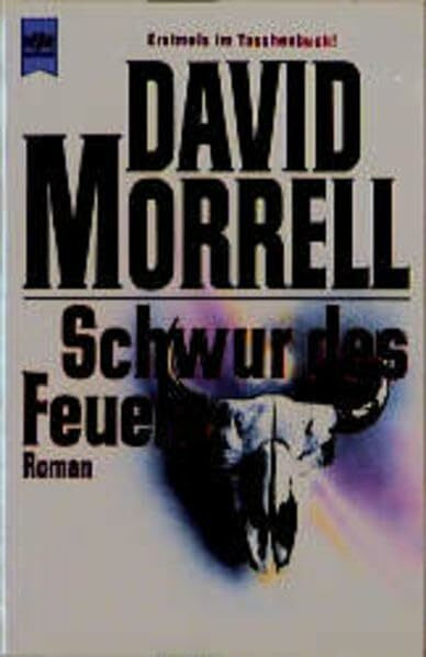 Schwur des Feuers: Roman (Heyne Allgemeine Reihe (01))